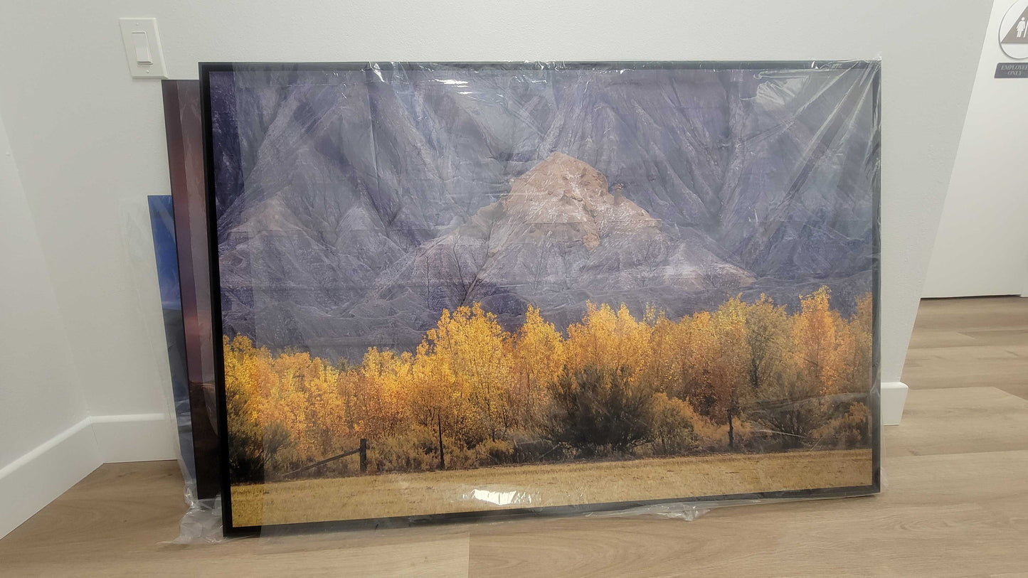 "A Poplar Place" - Limited Edition ChromaLuxe® Metal Wall Art 60" x 40" Shadow Box Frame