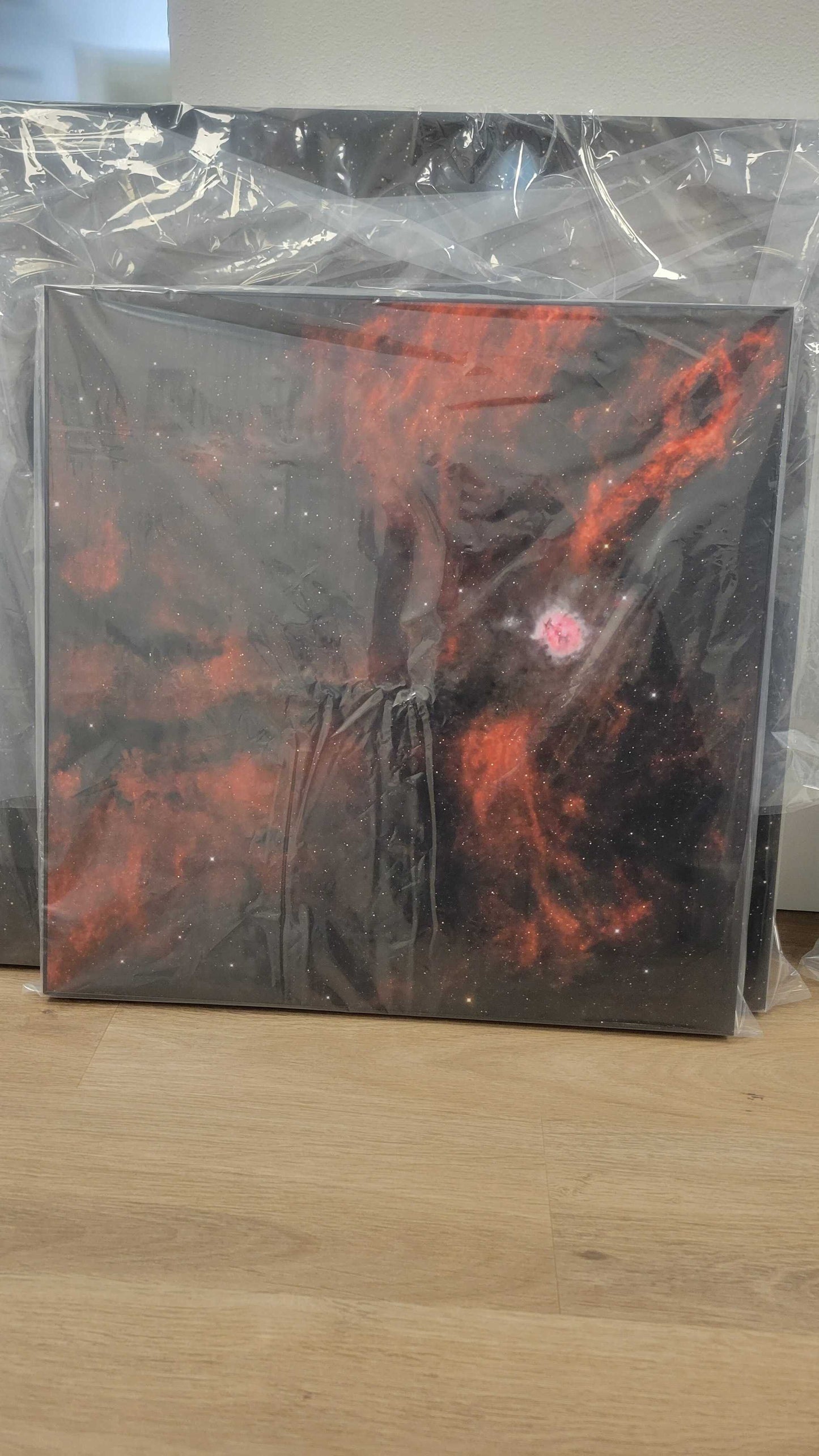 "The Cocoon" - Limited Edition ChromaLuxe® Metal Wall Art 24" x 24" - Euro Wrap Frame