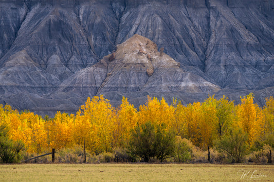 A jpg of the photograph titled "A Poplar Place" shot by landscape photographer J K Lovelace, featuring a crowd of poplars sitting alongside a deserted Utah highway.