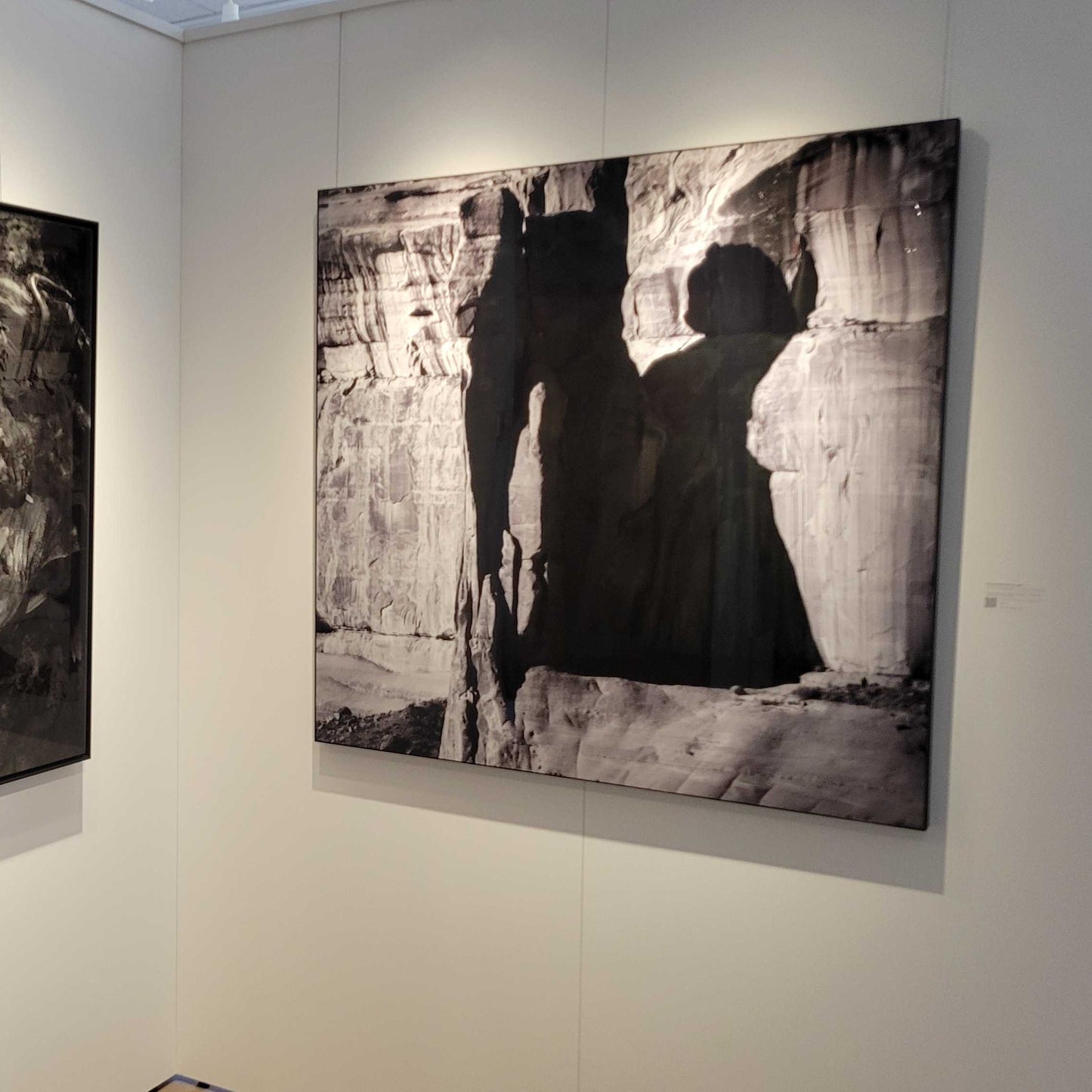 A photograph of the metal print titled "Disney Meets Escher" on display in Slice of Light Gallery.