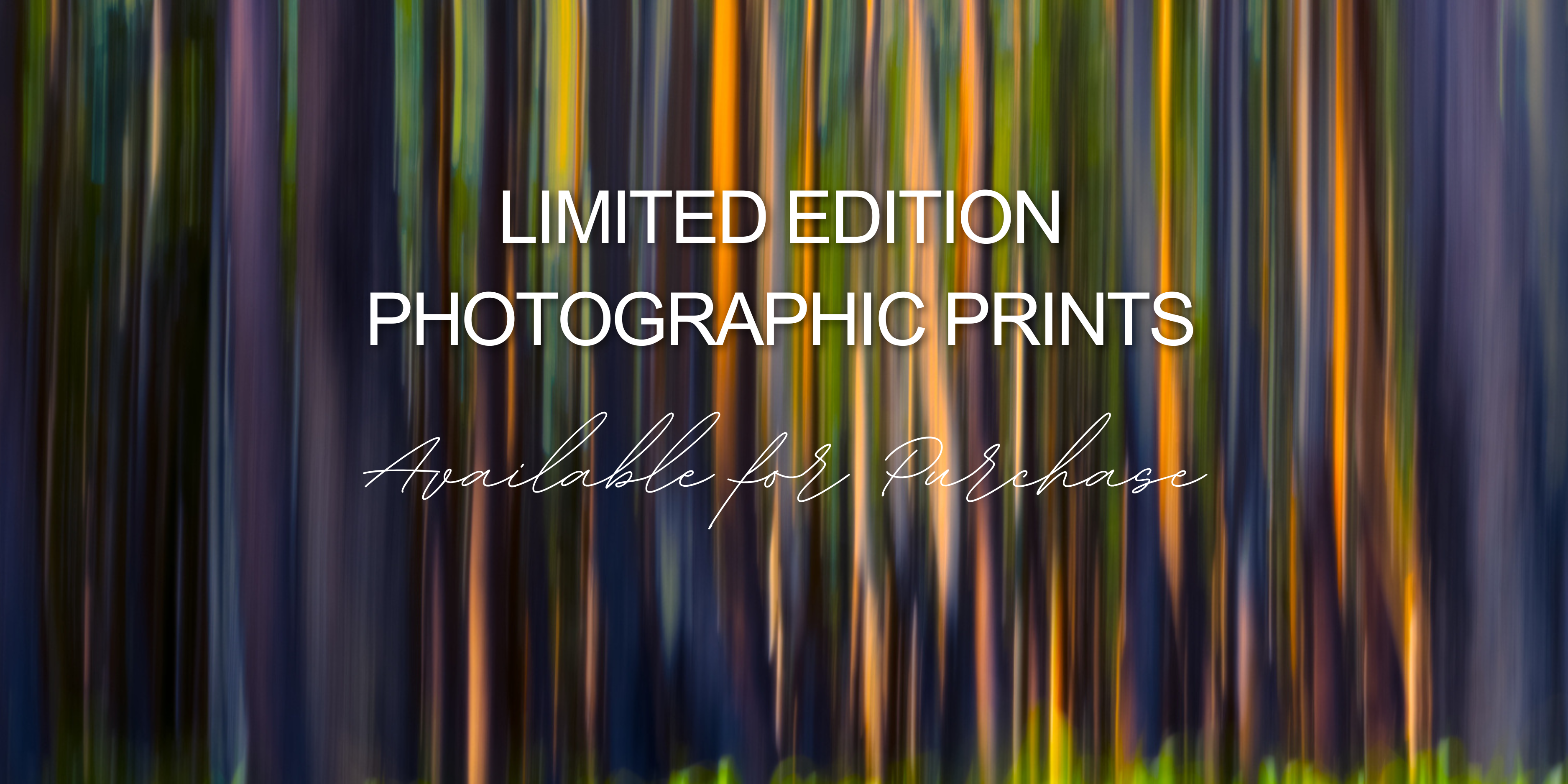 A banner image with background photograph titled "Rainbow Eucalyptus, Big Island" by landscape photographer Ben Coffman and overlaying text that says "Limited Edition Photographic Prints Available for Purchase".