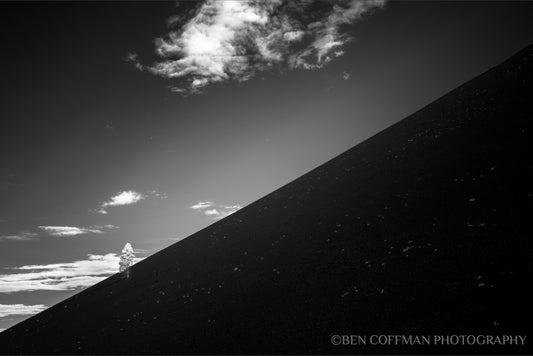 A jpg of the black and white infrared photograph titled "Lean" by landscape photographer Ben Coffman, featuring a lone pine sitting on the side of a cinder cone volcano in Lassen Volcanic National Park, California