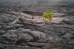 In-Store Winter 2023 Grab N Go Metal Prints 12" width