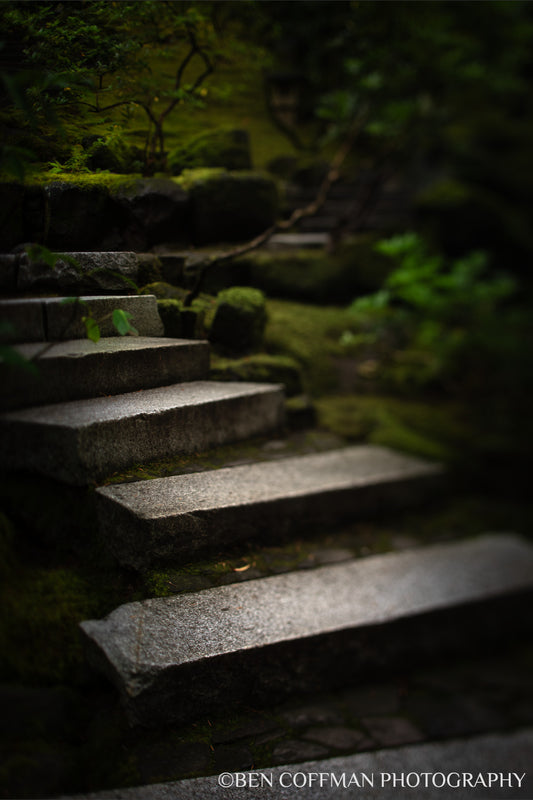 A jpg of the intimate vertical photograph titled "Liminal Spaces in the Portland Japanese Garden 10" shot by landscape photographer Ben Coffman, featuring a dark outdoor stairway.