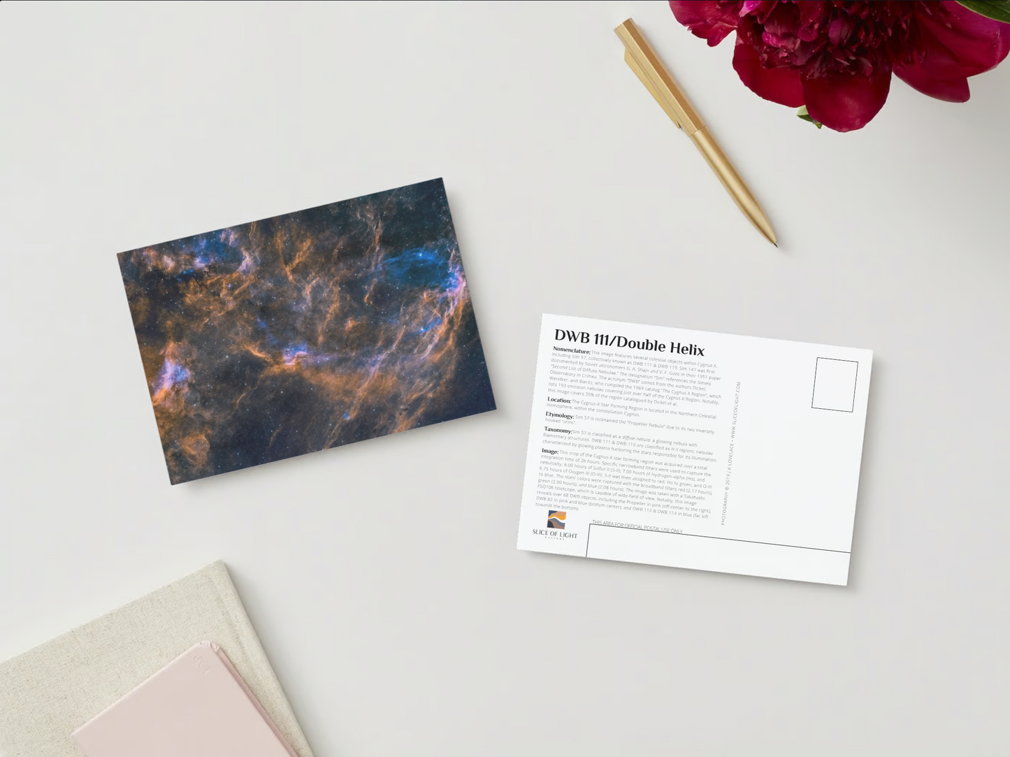 DWB 111/ Double Helix 5x7 Postcard