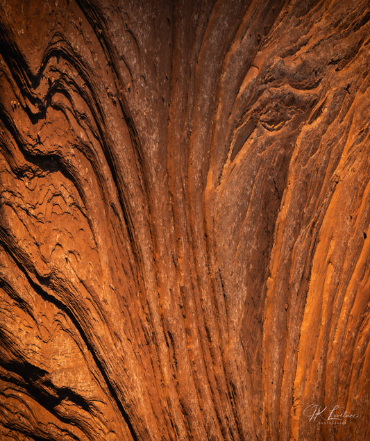 A jpg of the daylight photograph titled "Side Eye" shot by landscape photographer J K Lovelace, featuring an abstract rock formation.