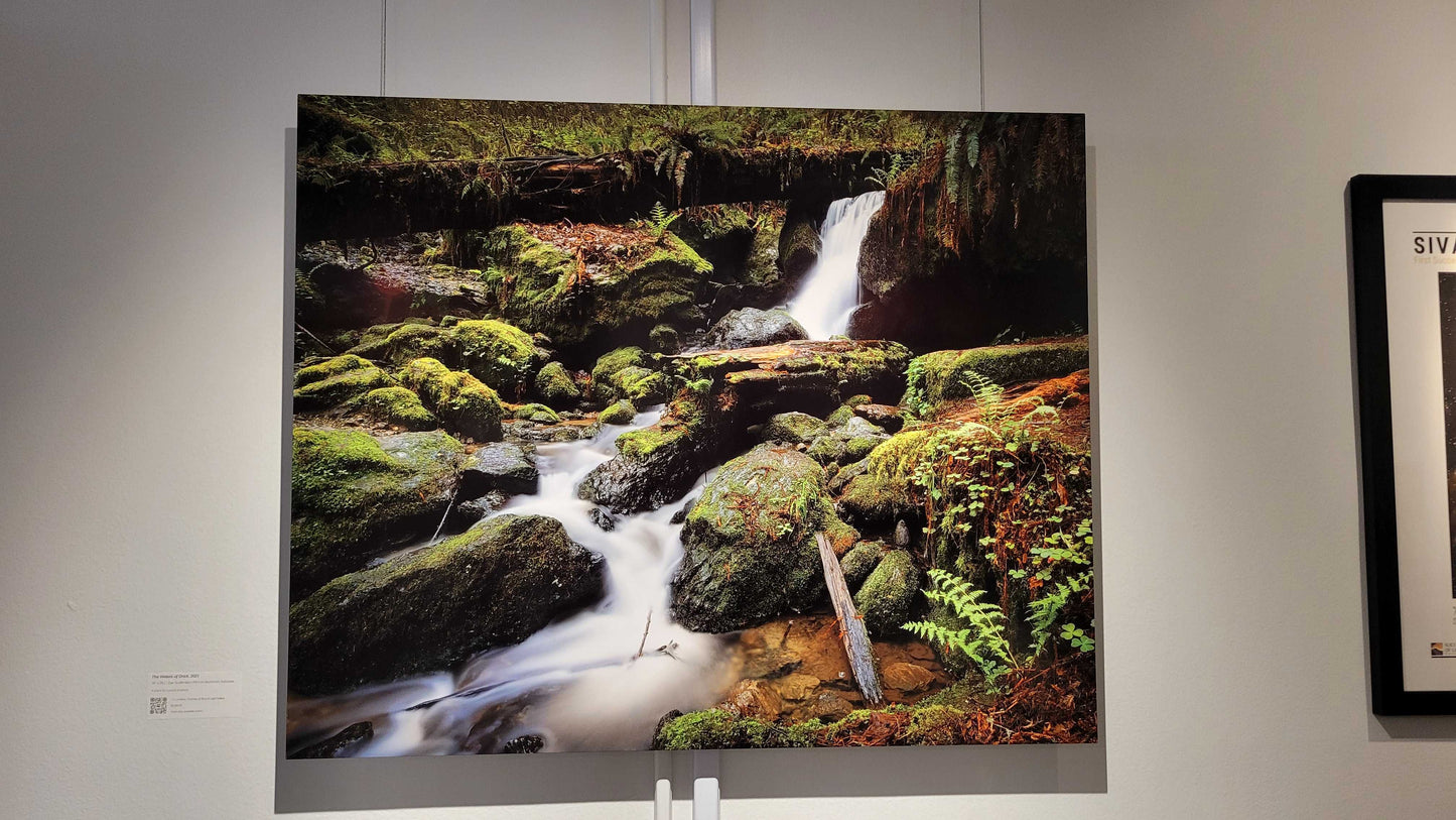 A photograph of the metal print titled "The Waters of Orick" on display in Slice of Light Gallery