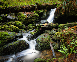 In-Store Winter 2023 Grab N Go Metal Prints 12" width