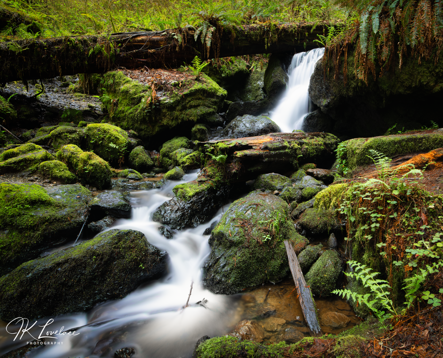 "The Waters of Orick"