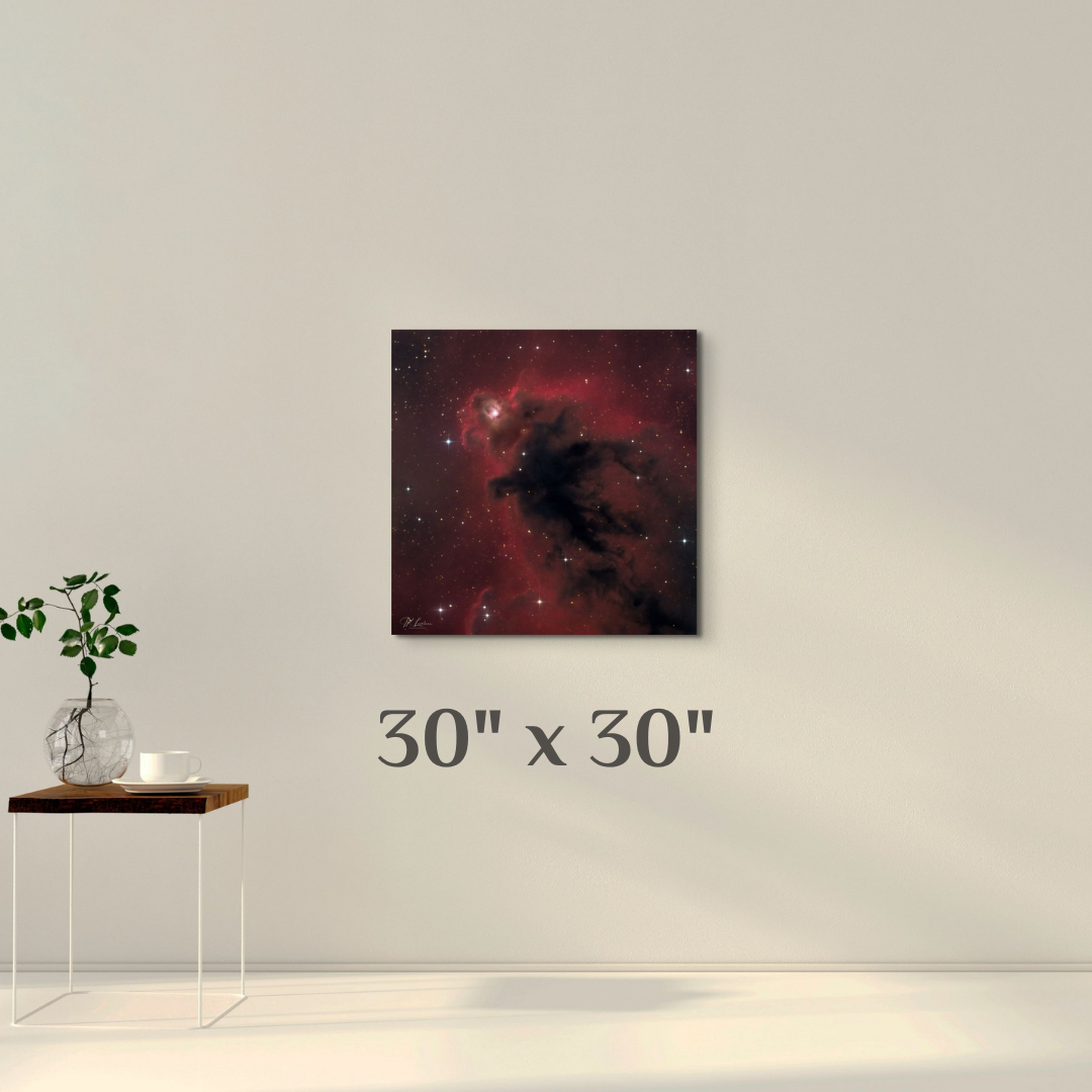 A simple wall art mockup featuring the 30 inch wide metal print titled "Elmo's Ghost" displayed on a wall.