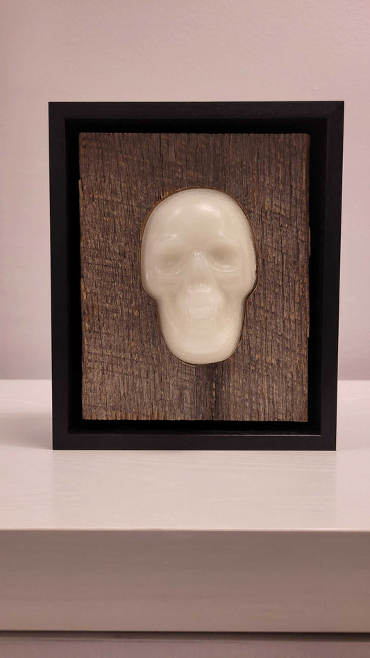 Framed Skull