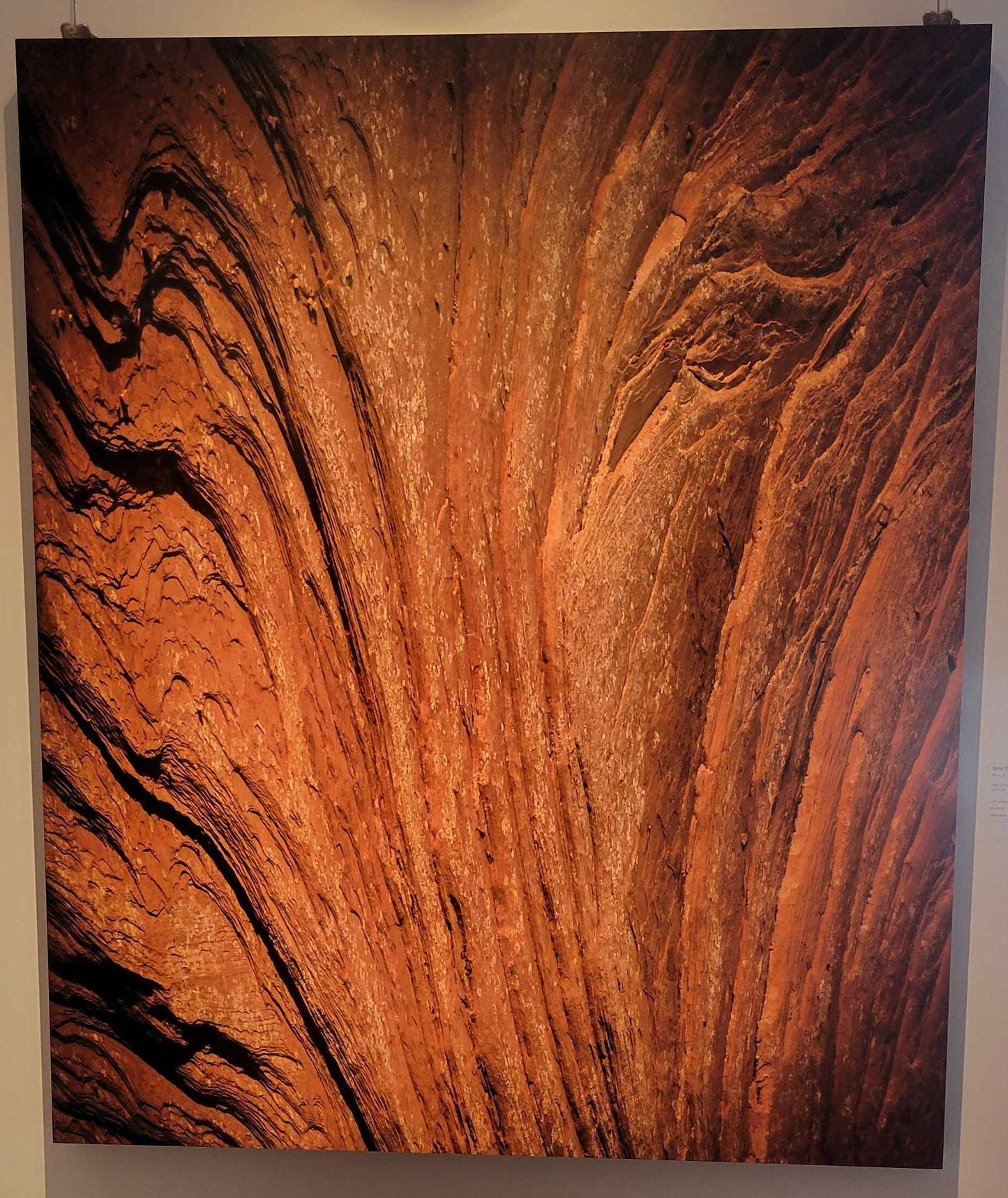 "Side Eye" - Limited Edition ChromaLuxe® Metal Wall Art 30" x 35"