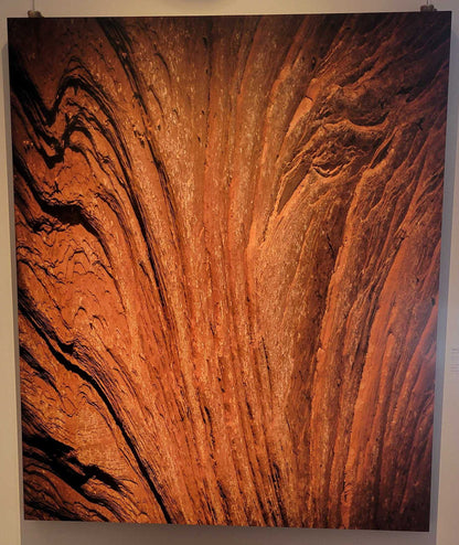 "Side Eye" - Limited Edition ChromaLuxe® Metal Wall Art 30" x 35"