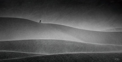"As the Sand Storms" - Limited Edition ChromaLuxe® Metal Wall Art