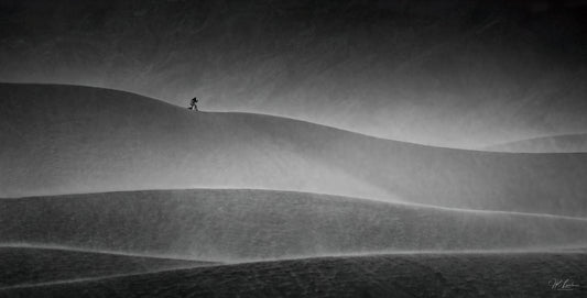 "As the Sand Storms" - Limited Edition ChromaLuxe® Metal Wall Art