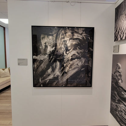 A photograph of the one-of-a-kind hand ground steel print of the photograph titled "Beneath the Garden of Earthly Delights" shot by J K Lovelace on display in the black and white cove within Slice of Light Gallery
