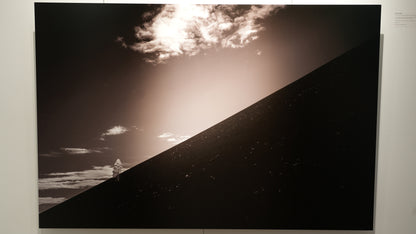 "Lean" - Limited Edition ChromaLuxe® Metal Wall Art 44" x 29.3"