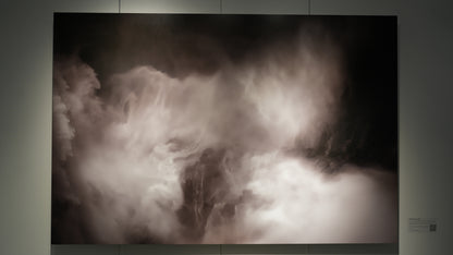 "Roar Shock I" - Limited Edition ChromaLuxe® Metal Wall Art 44" x 29.3"