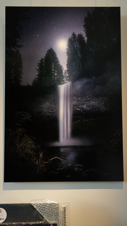 "Venus in Firs" - Limited Edition ChromaLuxe® Metal Wall Art 24" x 36"