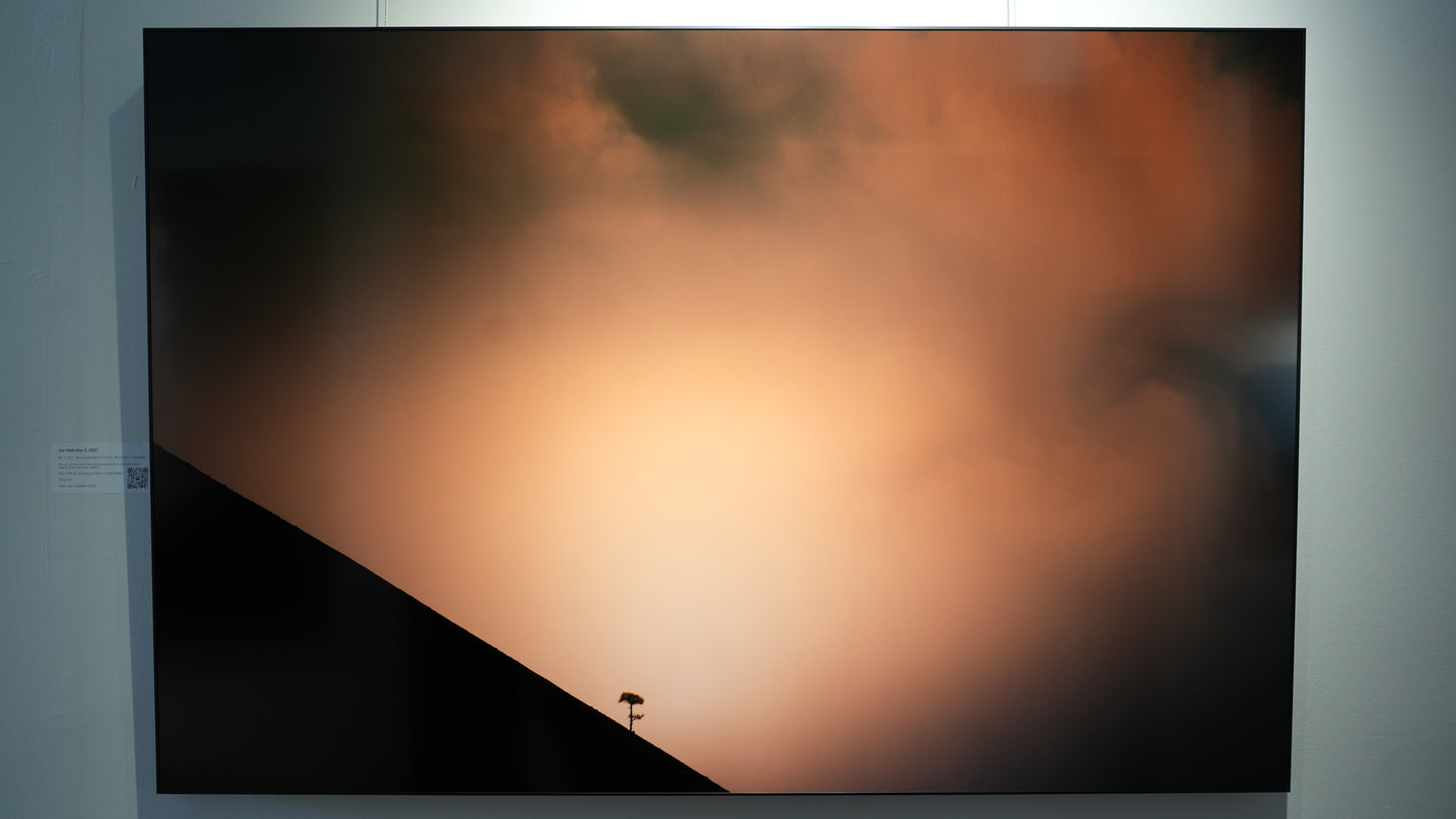 "Shadow Archetype" - Limited Edition ChromaLuxe® Metal Wall Art 44" x 29.3"