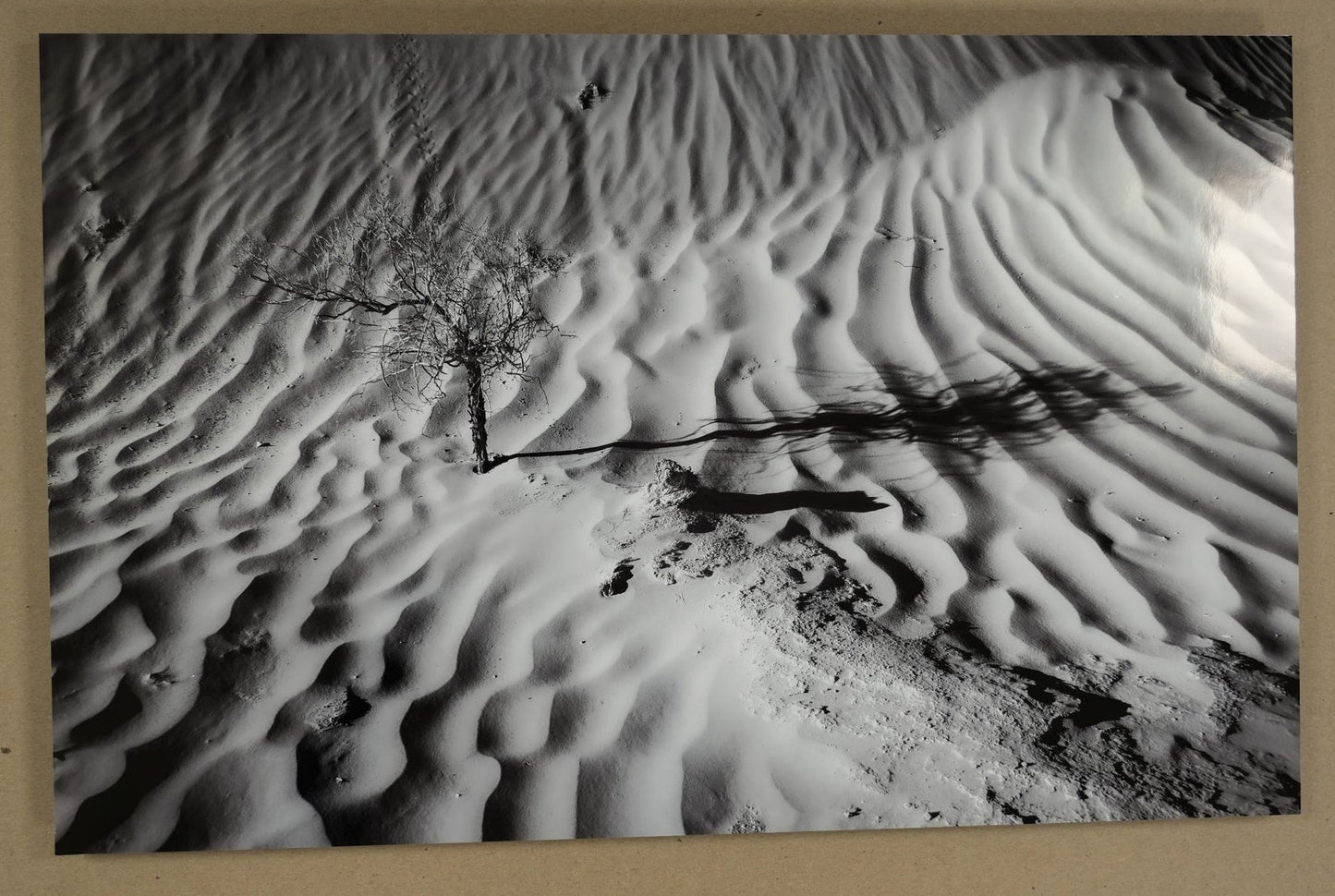 Black and white abstract art piece on a beige wall