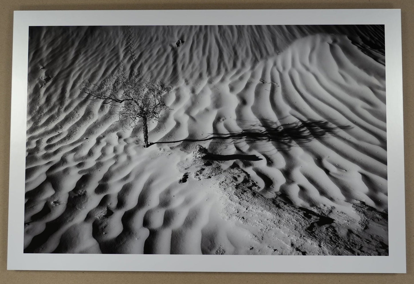Framed black and white photograph of a desert landscape with a stick on sand.
