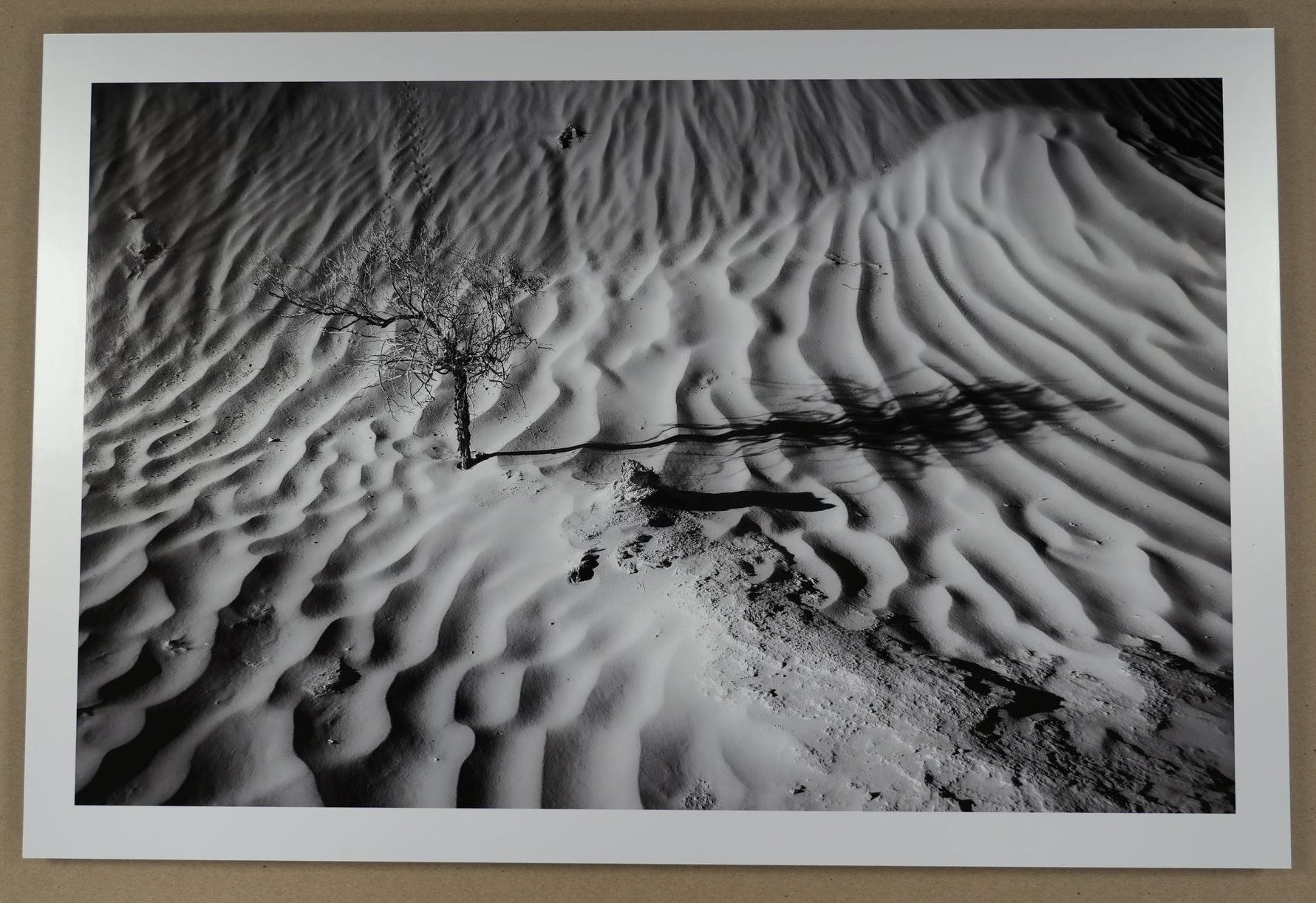 Framed black and white photograph of a desert landscape with a stick on sand.