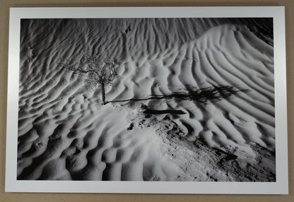 Framed black and white photograph of a desert landscape with a stick on sand.
