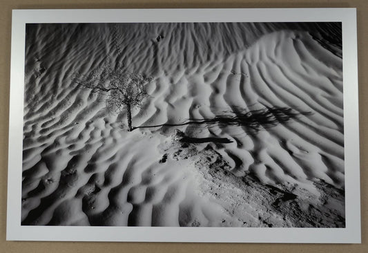 Framed black and white photograph of a desert landscape with a stick on sand.