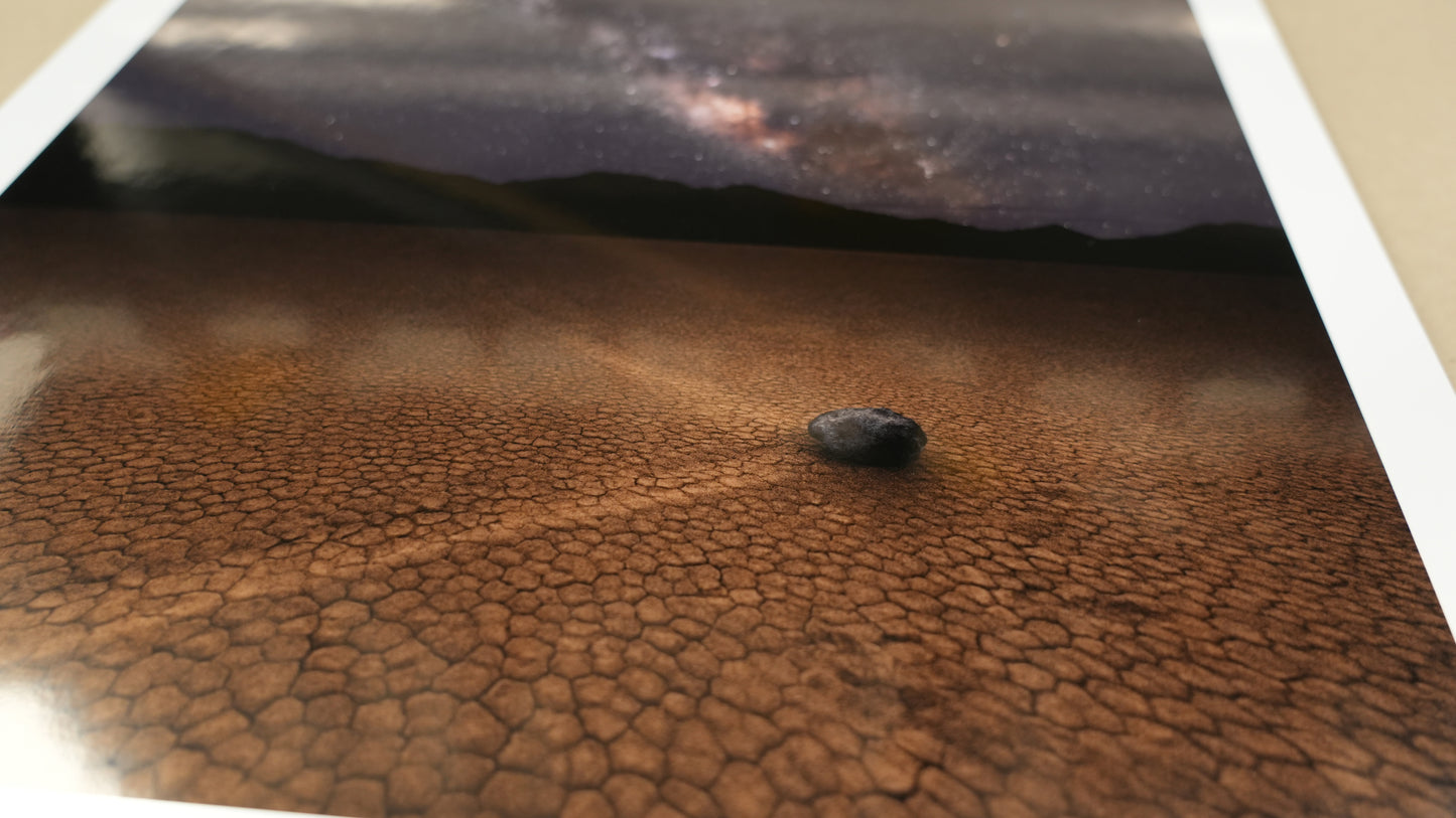 Close-up of a textured brown surface with a small black object on it.