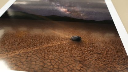 Close-up of a textured brown surface with a small black object on it.