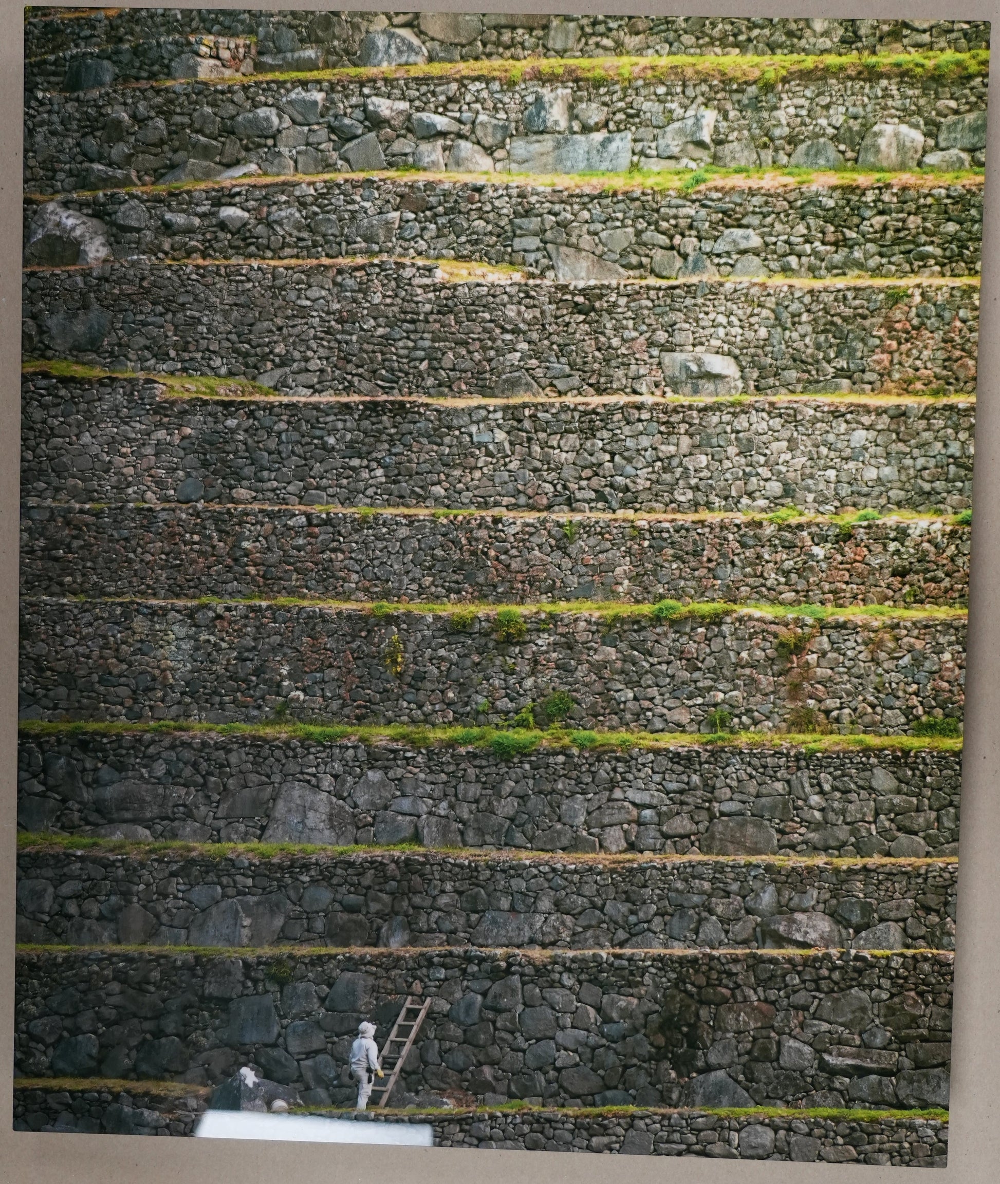 Close-up of a textured surface with a ruler for scale