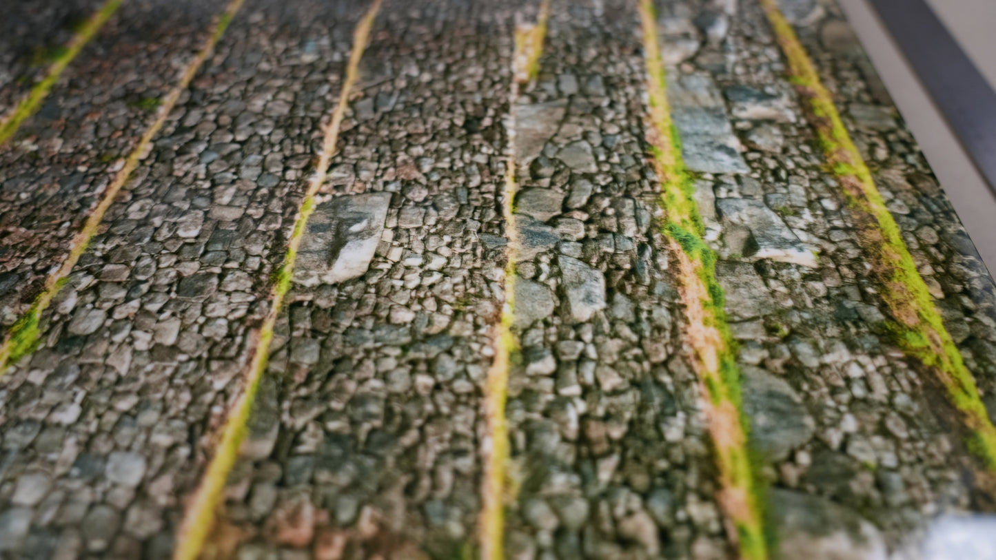 Close-up of textured stone surface with green moss