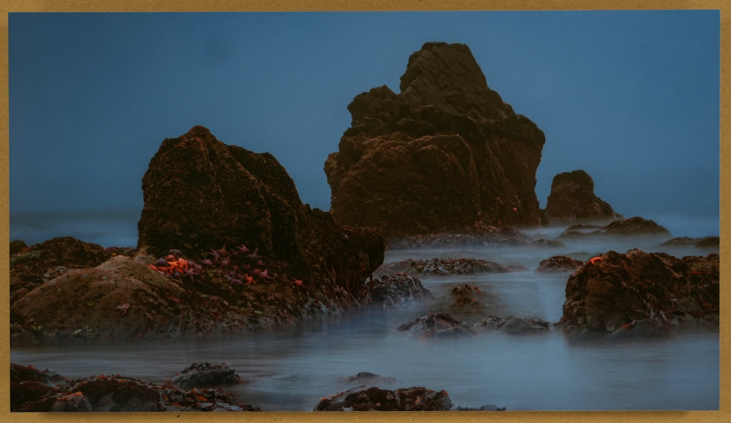 "Seaing Stars" - Limited Edition ChromaLuxe® Metal Wall Art 17" x 10"