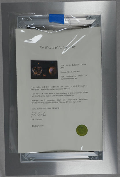 Certificate of authenticity in a clear protective sleeve on a brown background