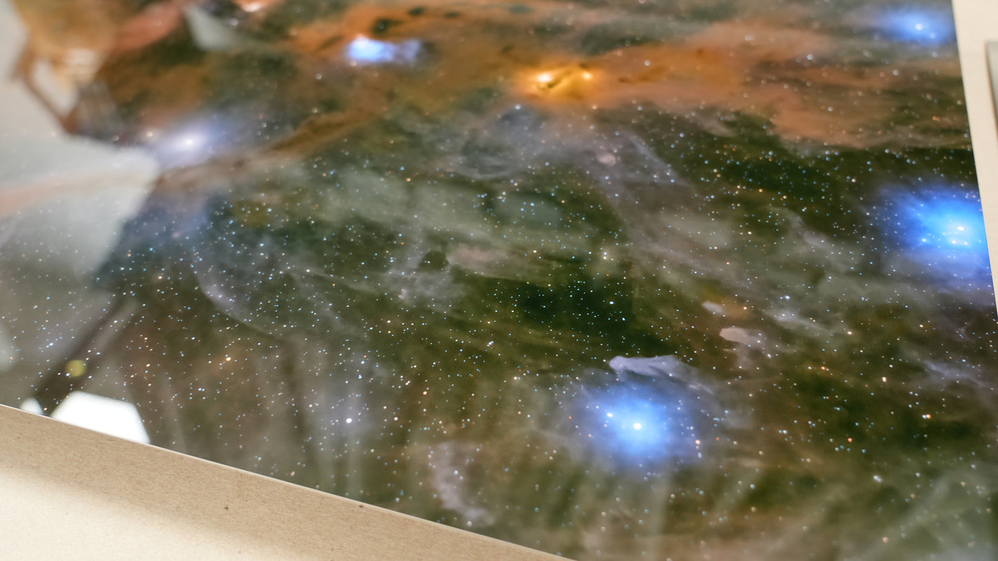 Close-up of a textured surface with green and brown colors