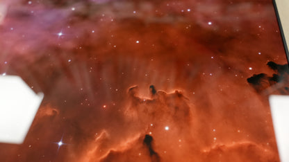 "Elephant's Trunk" - Limited Edition ChromaLuxe® Metal Wall Art 24" x 24"