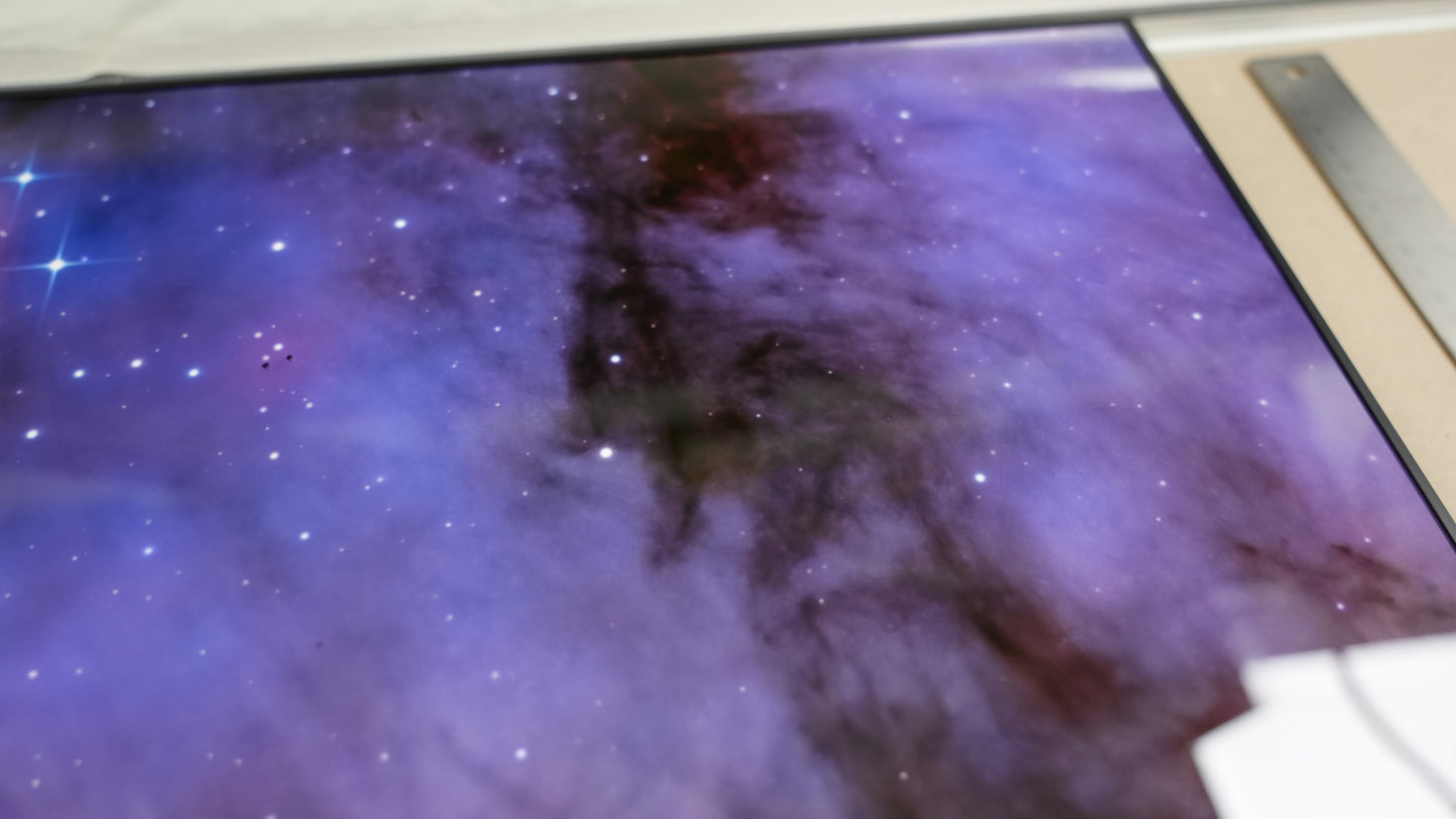 "Elephant's Trunk" - Limited Edition ChromaLuxe® Metal Wall Art 24" x 24"