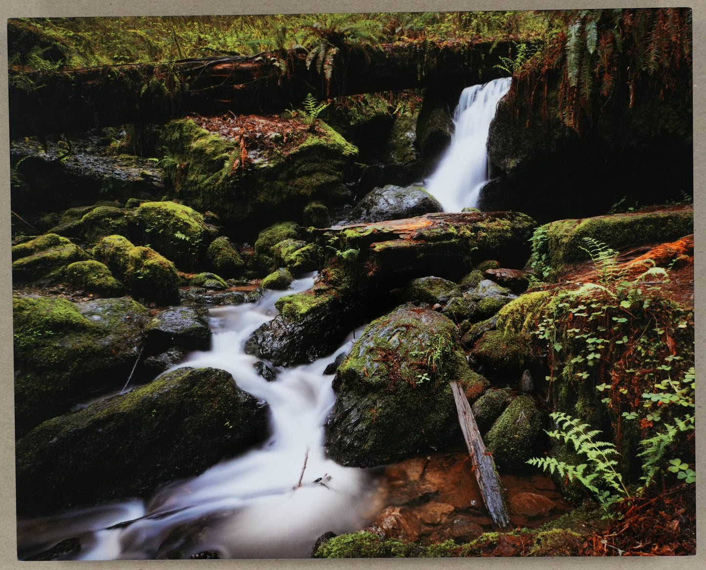 "The Waters of Orick" - Limited Edition ChromaLuxe® Metal Wall Art 12" x 9.8"