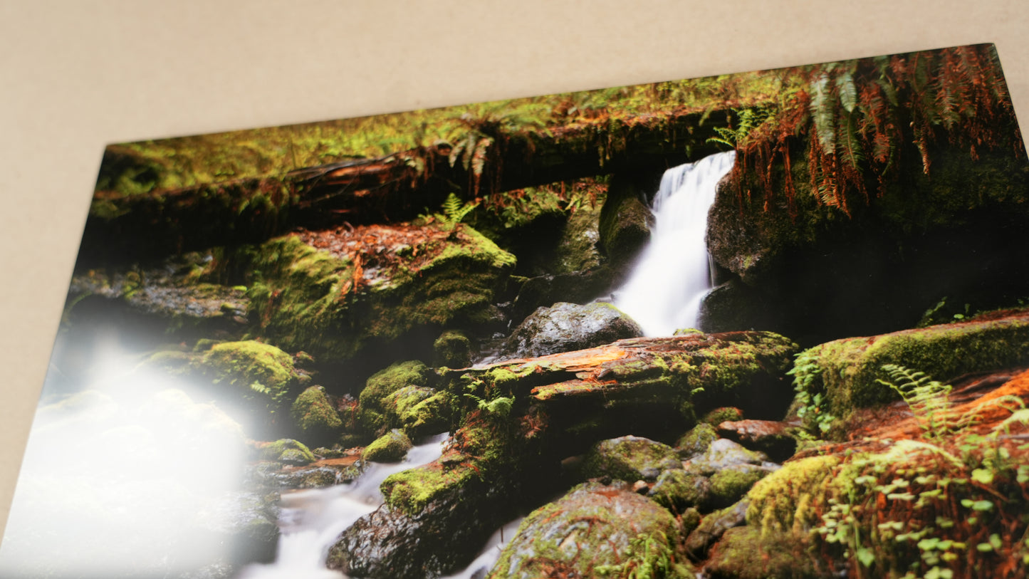 "The Waters of Orick" - Limited Edition ChromaLuxe® Metal Wall Art 12" x 9.8"