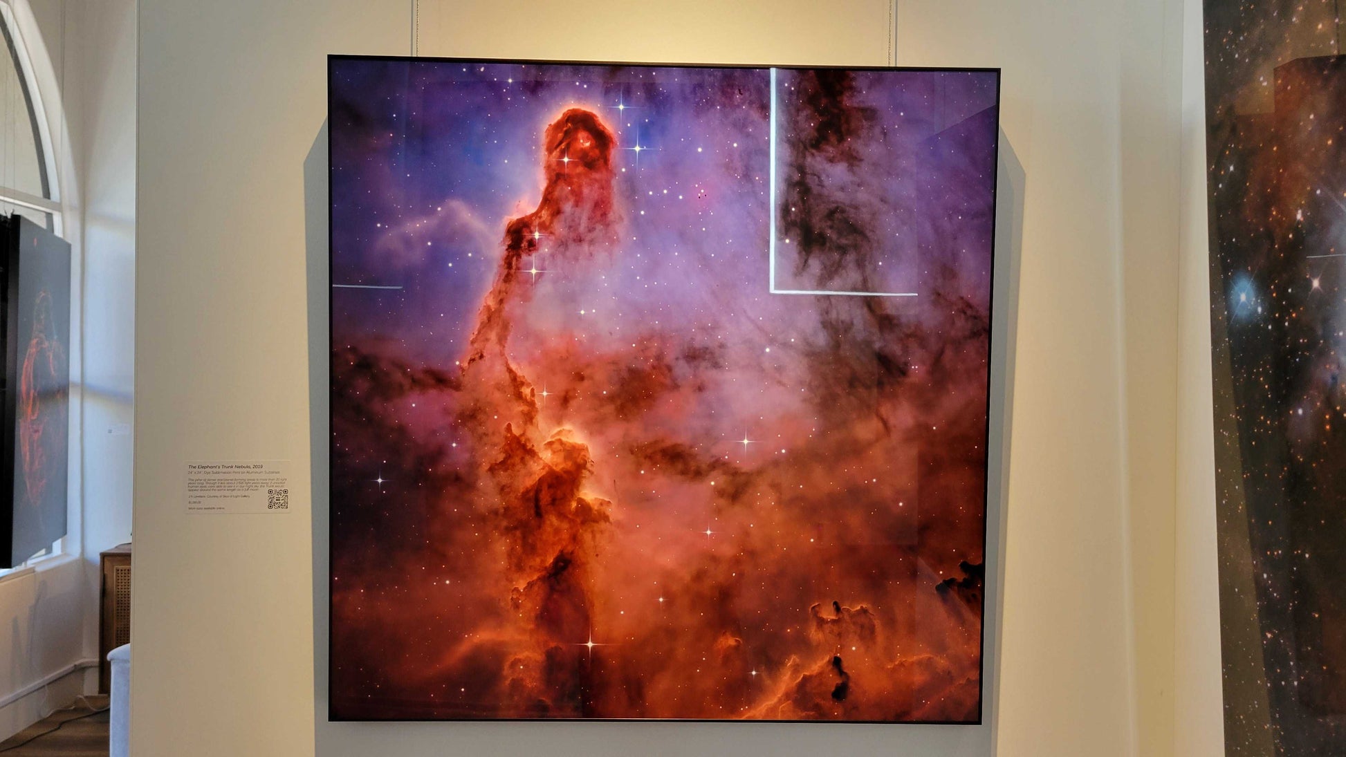 A photograph of the metal print titled "Elephant's Trunk" on display at Slice of Light Gallery