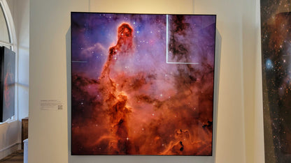 A photograph of the metal print titled "Elephant's Trunk" on display at Slice of Light Gallery