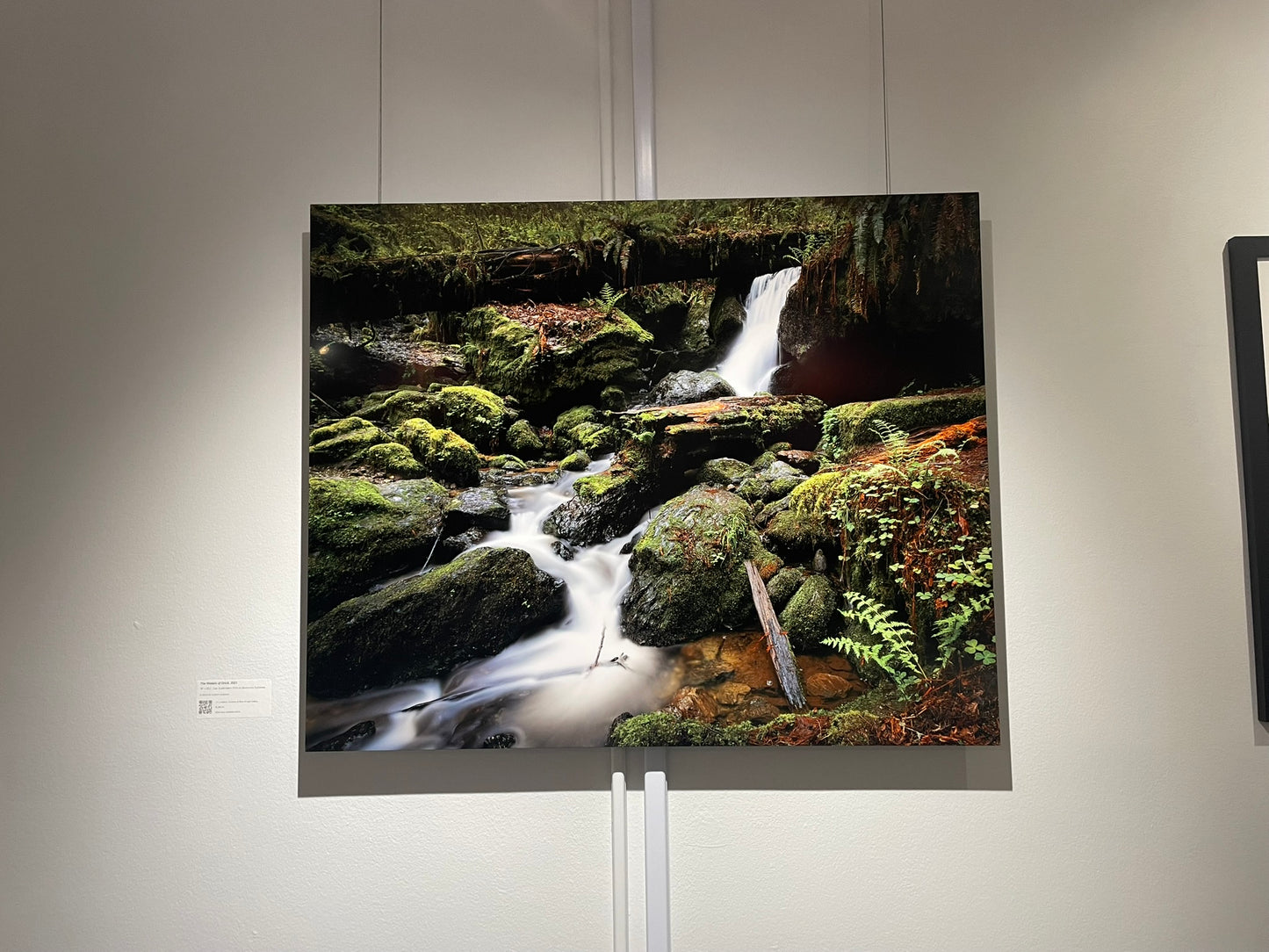 "The Waters of Orick" - Limited Edition ChromaLuxe® Metal Wall Art 36" x 29.1"