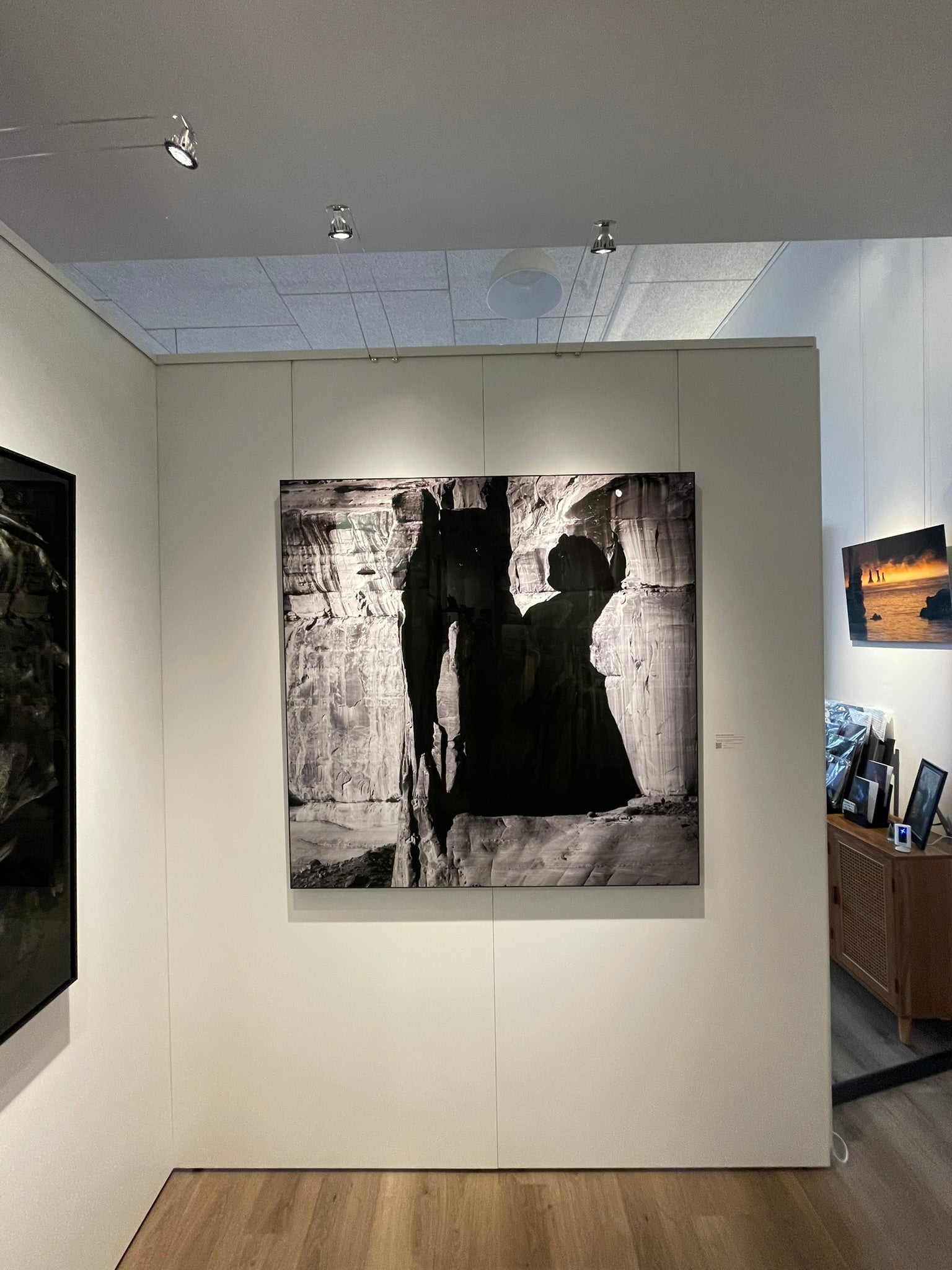 Art gallery with a large black and white photograph of a horse on a wall.