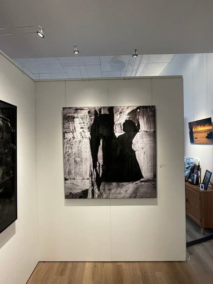 Art gallery with a large black and white photograph of a horse on a wall.