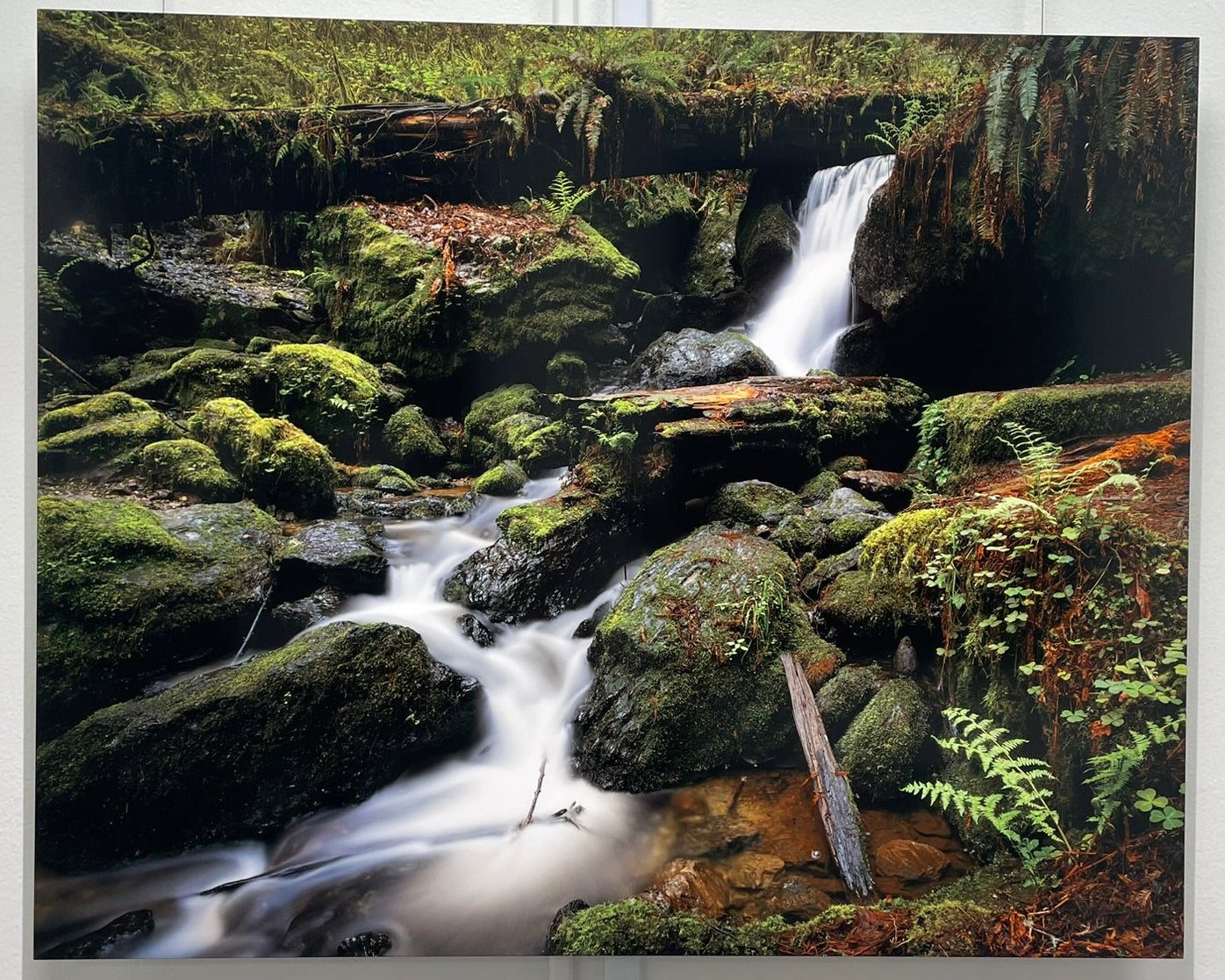 "The Waters of Orick" - Limited Edition ChromaLuxe® Metal Wall Art 36" x 29.1"