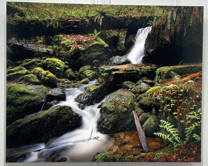 "The Waters of Orick" - Limited Edition ChromaLuxe® Metal Wall Art 36" x 29.1"