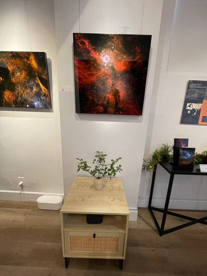 Art gallery with space-themed artworks on the wall and a small table with plants.