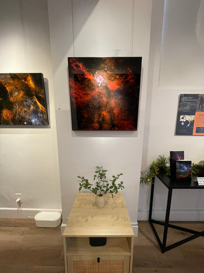 Artistic space with cosmic-themed artworks on a wall, a small table with plants, and a display area.