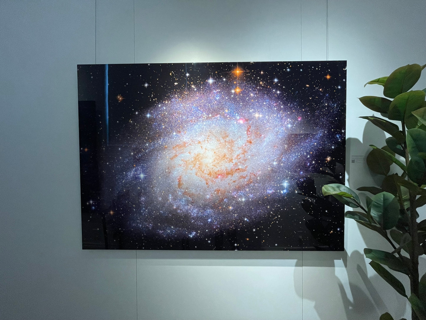 "M33: The Triangulum Galaxy" - Limited Edition ChromaLuxe® Metal Wall Art 60" x 43"